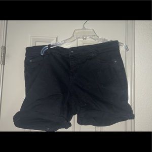 Torrid Shorts